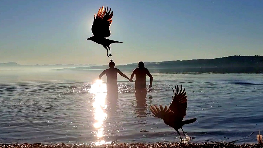 Kathrin Günther mit ihrem Mann beim Eisbaden im Starnberger See. Es fliegen einige Krähen im Vordergrund, die durch den Schrei von Kathrin Günther, Heilpraktikerin, aufgescheucht wurden.